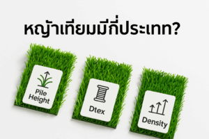 หญ้าเทียมมีกี่ประเภท? Pile Height–Dtex–Density คืออะไร (คู่มือฉบับเข้าใจง่าย)